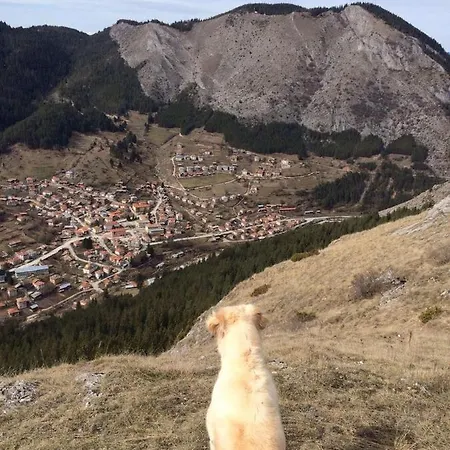 بيت للعطل къща край реката - *