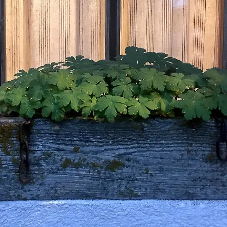 къща край реката - *