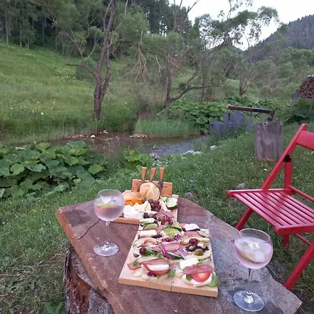 Hébergement de vacances къща край реката - Trigrad