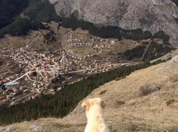 بيت للعطل къща край реката - *