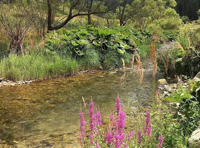 къща край реката - ترايغراد